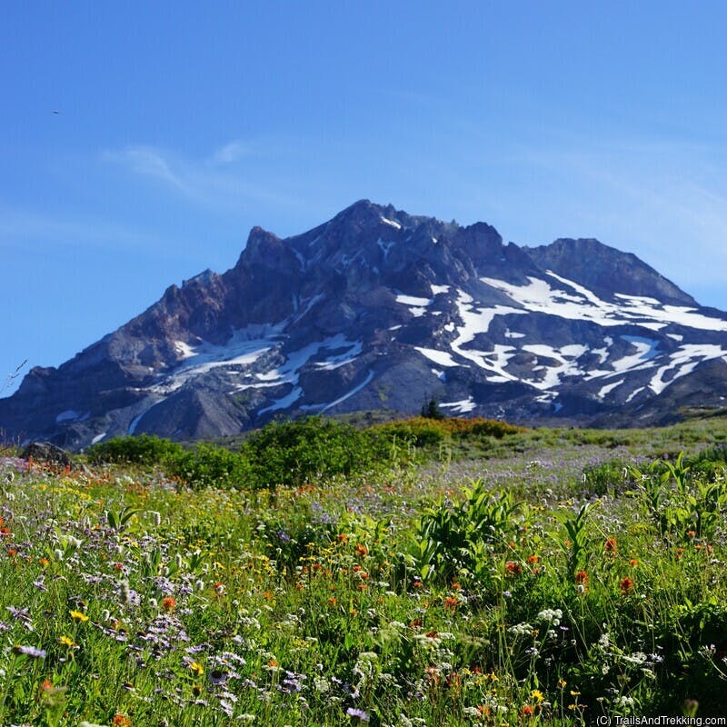 Backpack a stunning 40 mile loop through the most scenic terrain on Mt. Hood.