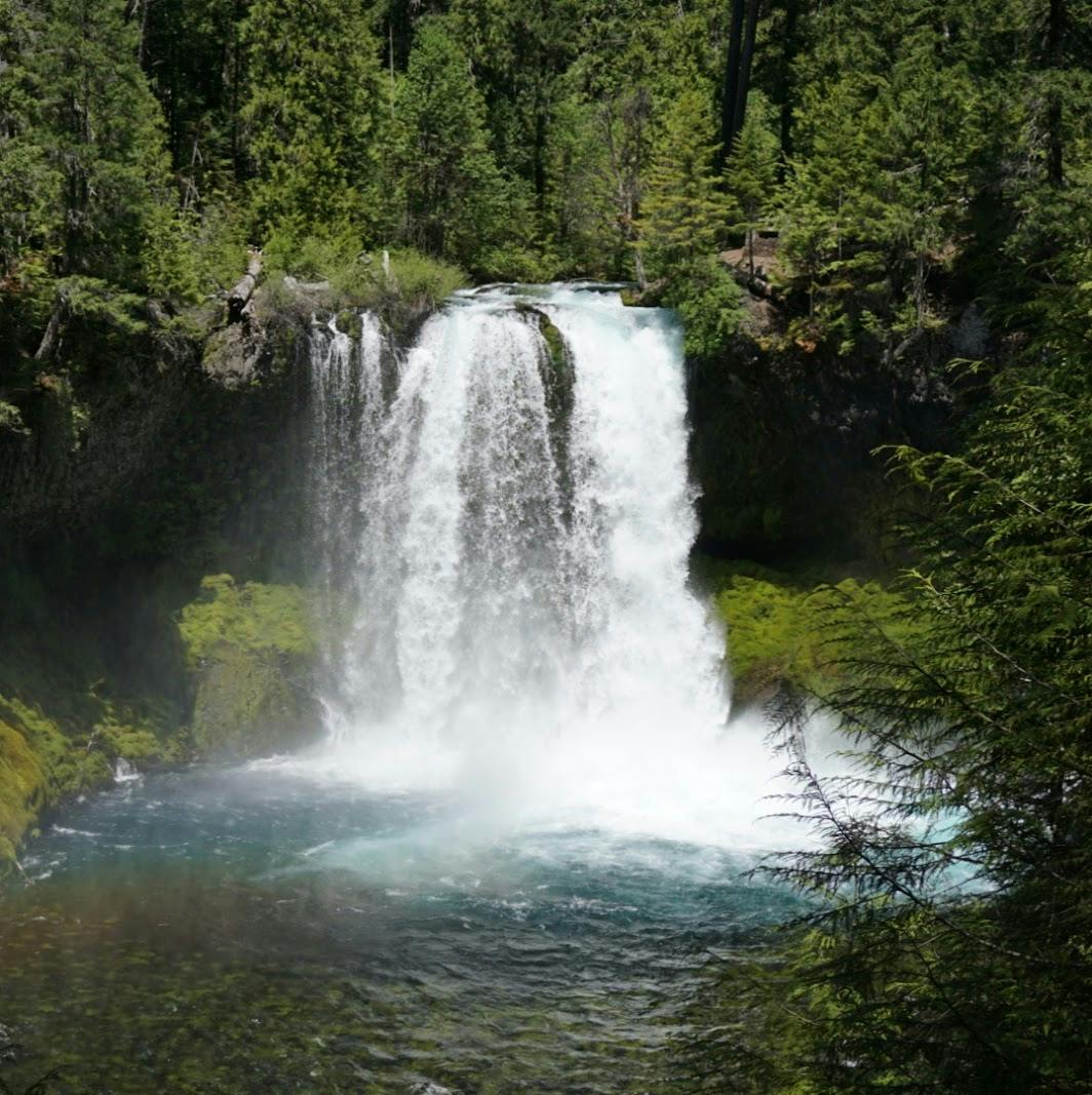 Learn about backpacking the upper McKenzie River in Oregon's central Cascades.